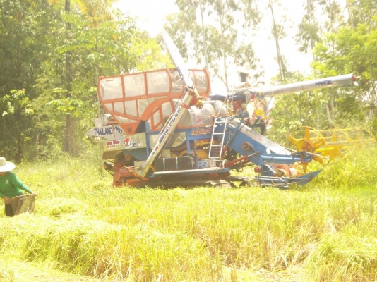 ขายเฟรมรถเกียวกก  12  ht นอกมีล้อนำโช่ใบแทรกเลาเลอร 16 ลูกขาย  280000ต่อรองใด้ครับ