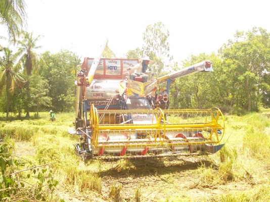 ขายเฟรมรถเกียวกก  12  ht นอกมีล้อนำโช่ใบแทรกเลาเลอร 16 ลูกขาย  280000ต่อรองใด้ครับ