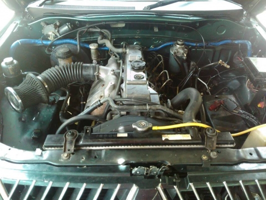 มิตซู สตาด้าแคป