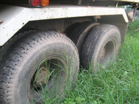 ไอ้หลง  195  MA    900,000 บาท//ปรับ เหลือ 820,000  บาท