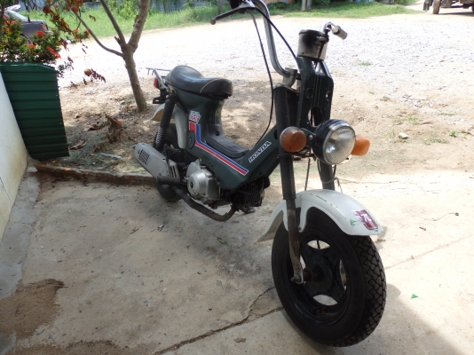 ขายชาลี ล้อ4ก้าน