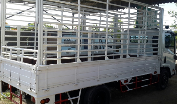 6 ล้อกลาง  *Euro.3*  ISUZU  NMR  130 แรงม้า *คอมมอนเรว* ยาว 4.30ม. * รถสวยเดิม+สวยจริง *รถห้างแท้* มีเล่มพร้อมโอน