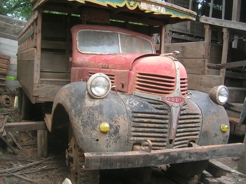 ขายDODGEหน้าปีศาจ ขายDODGEหน้าปีศาจ