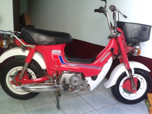 ขาย ชาลี เดิมๆ