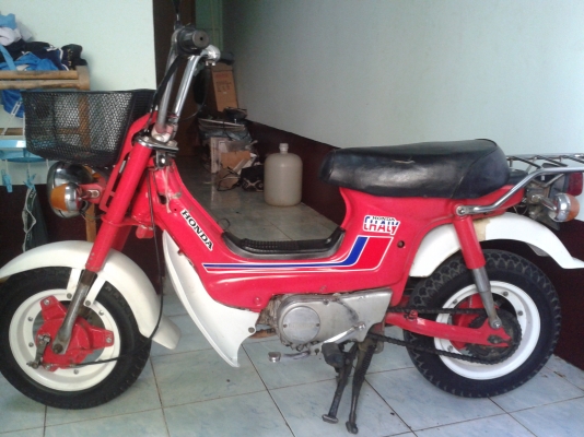 ขาย ชาลี เดิมๆ ขาย ชาลี เดิมๆ