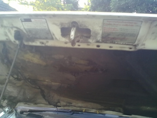 ต้องการขายอีชุหัวเดียว