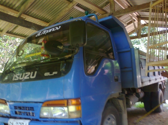 ขายรถ 6ล้อ ดั้มพ์ isuzu ราคาต่อรองได้