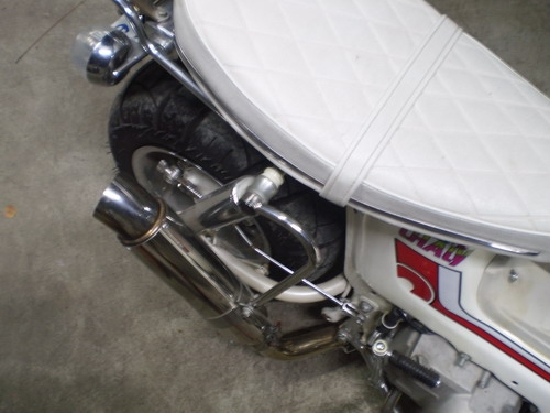 ขายชาลียุ่นๆหล่อๆแรงๆครับ ขายชาลียุ่นๆหล่อๆแรงๆครับ