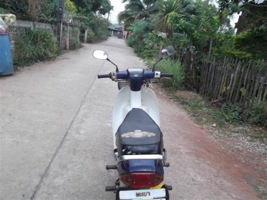 ขายดรีมคุรุสภาสีน้ำเงินสภาพดี มีเล่มทะเบียน+ชุดโอน (จัดส่งได้)ฉ