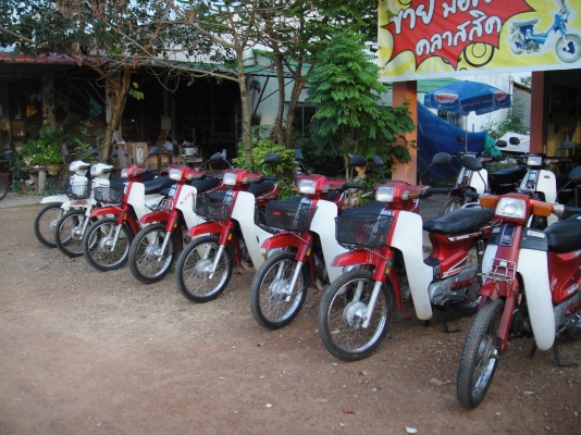 ขายฮอนด้าดรีม คุรุสภา สภาพสวยพร้อมใช้งาน (ทะเบียนพร้อมชุดโอน ) ล็อตใหม่มาแล้ว 15 คัน