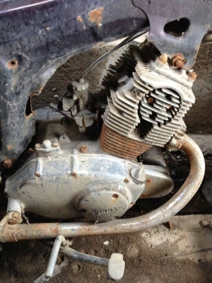 ขายเครื่อง C95