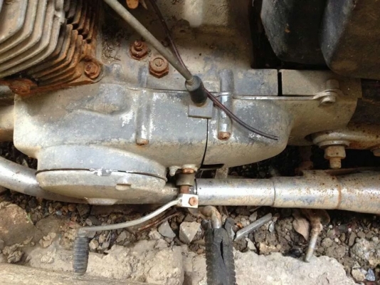 ขายเครื่อง C95