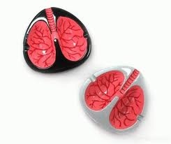 ที่เขี่ยบุหรี่รูปปอด มีเสียงไอ