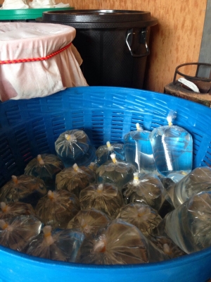 ขายน้ำมันมะพร้าวสกัดร้อน