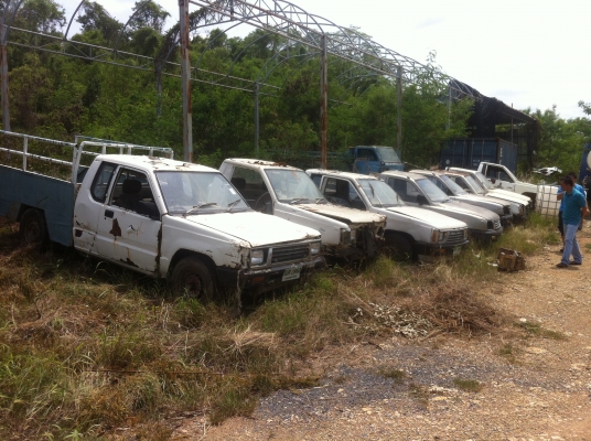 ขายเหมา ซากมิสซู มีเล่มเอกสารครบทุกคัน มีทั้งหมด9คัน