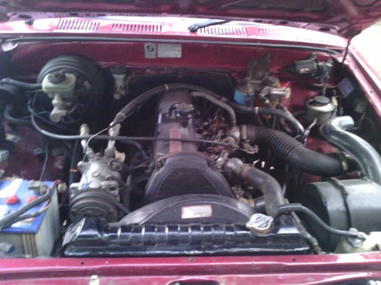 ขายไมตี้