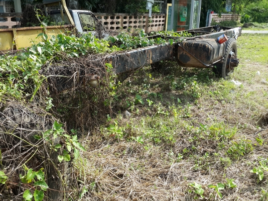 ขายคัซซีรถบัสโดยสาร