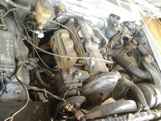 กระบะ ไมตี้ เอ็กซ์