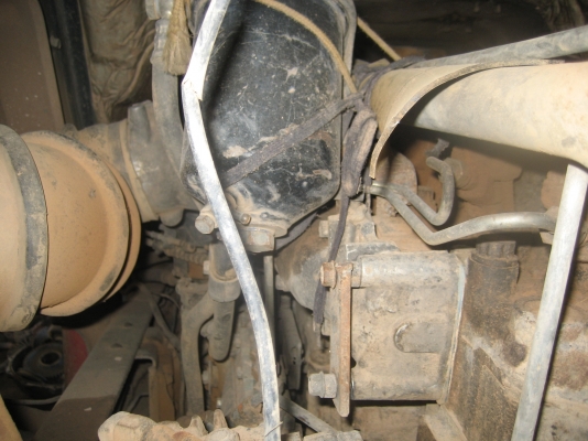 ไอ้หลง 195   ราคา  950,000   บาท