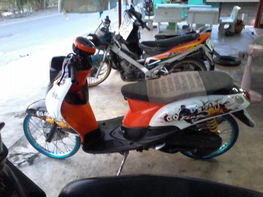 ฟีโน ปี 53