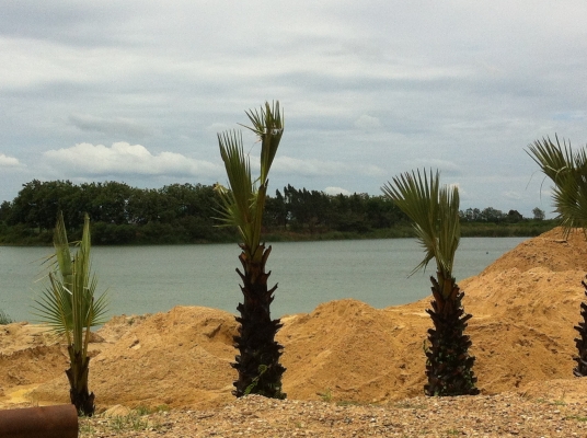 ขออนุญาต ต้องการเรือดูดทราย มาร่วมงานคับ