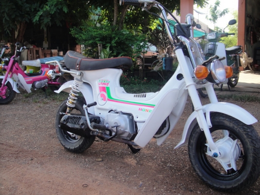 ขายชาลี เครื่องเดิม สีขาวมุก