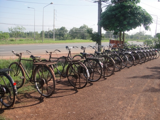 ขายจักรยานโบราณ