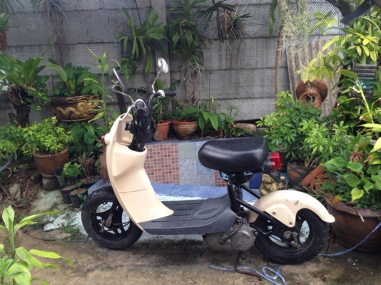 ขายรถป๊อป SUZUKI โชอิโนริ 50CC 4จังหวะ