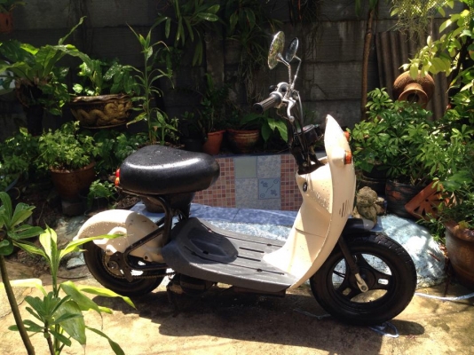 ขายรถป๊อป SUZUKI โชอิโนริ 50CC 4จังหวะ