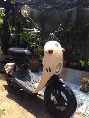 ขายรถป๊อป SUZUKI โชอิโนริ 50CC 4จังหวะ