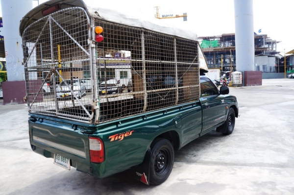 TOYOTA TIGER D4D ตอนเดียว ปี 2002 ขายรถสวย พวงมาลัยพาวเวอร์ แอร์เย็นๆ มีหลังคาพร้อม เครื่องเดิมๆวิ่งดีมาก ช่วงล่างแน่น เกียร์ใช้งานปกติ ภายในสภาพสวยสุดๆ สีสวย รถพร้อมใช้งาน การันตีรภสวย จัดไฟแนนได้