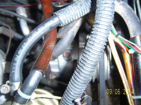 มิสซูแชมป์1992