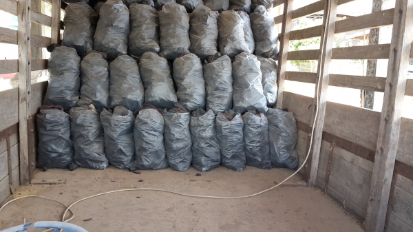 ขาย หกล้อ 74hp บ้านๆ ราคาถูกๆๆ ครับ