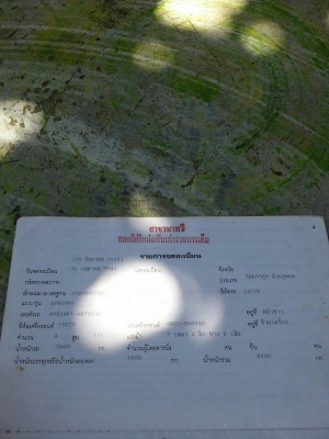 รถอีซูซุ 6 ล้อ รั้ว  ( ไม่ดั้ม ) NPR 115 แรงม้า. ปี 54   ( รถประกอบ )  สนใจติดต่อ 081 - 6079515