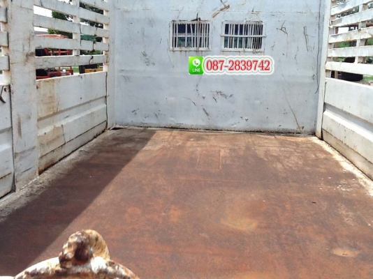 ขายรถบรรทุกดั้มพ์ 6 ล้อ ขนาดกลาง ISUZU