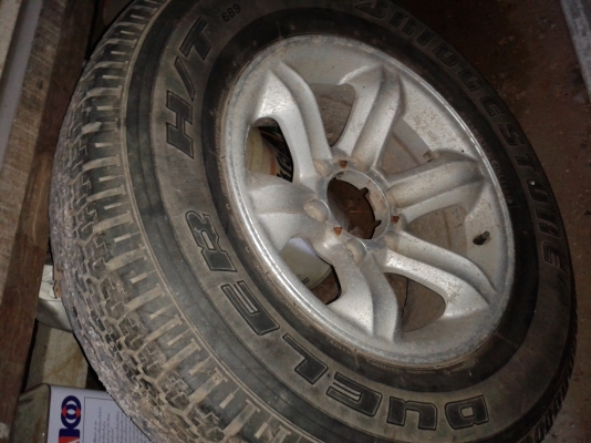 ขายแมกเล็บเหยี่ยว 1 วง 2500