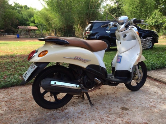 ขาย ฟีโน่เดิม ๆ สด-ผ่อนได้