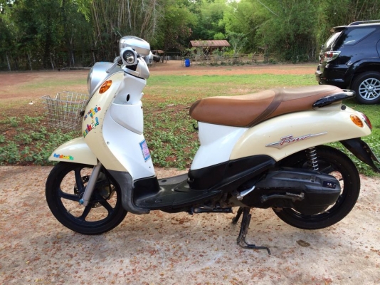 ขาย ฟีโน่เดิม ๆ สด-ผ่อนได้