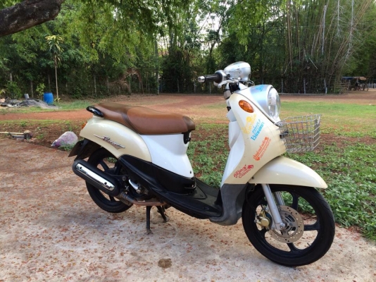 ขาย ฟีโน่เดิม ๆ สด-ผ่อนได้