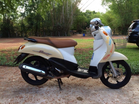 ขาย ฟีโน่เดิม ๆ สด-ผ่อนได้