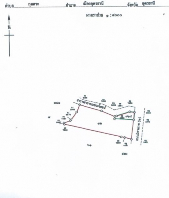 ขาย...ที่ดินถมแล้ว อุดร-หนองคายติดองค์กรเภสัช 14ไร่ ขาย...ที่ดินถมแล้ว อุดร-หนองคายติดองค์กรเภสัช 14ไร่