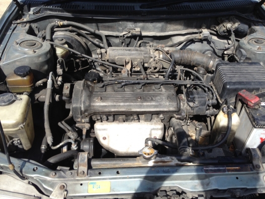 ขายสามห่วงปี 95