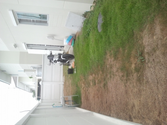 ขอนอกเรื่องนิดนึงครับ..ขายบ้านครับ..สองชั้นสามนอนสามห้องน้ำ..แหล็กดัดมุ้งลวด..ม่านทั้งหลังปั๊มน้ำ..55.ตรม..๚..2.65..ลบ.คับสนใจติดต่อ.089~8125767kik..0849445652..บ้านอยู่ไทรน้อยครับ ขอนอกเรื่องนิดนึงครับ..ขายบ้านครับ..สองชั้นสามนอนสามห้องน้ำ..แหล็กดัดมุ้งลวด..ม่านทั้งหลังปั๊มน้ำ..55.ตรม..๚..2.65..ลบ.คับสนใจติดต่อ.089~8125767kik..0849445652..บ้านอยู่ไทรน้อยครับ