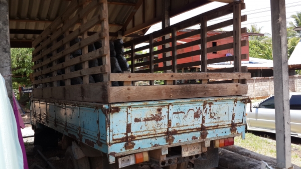 ขายอีกรอบครับ หกล้อหัวแป 74hp คอกไม้ ถูกๆๆๆๆ ครับ ขายอีกรอบครับ หกล้อหัวแป 74hp คอกไม้ ถูกๆๆๆๆ ครับ