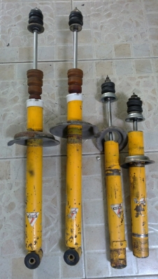 โช๊คโคนี่ใส่งูเห่า