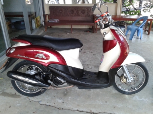 ขายฟีโน่ปี54เดิมๆ16,500