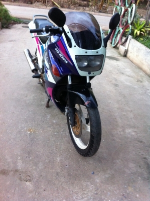 serpico เดิมๆ ดีๆ