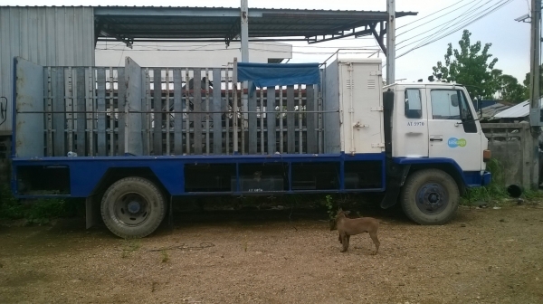 ขาย ISUZU FTR ขาย ISUZU FTR