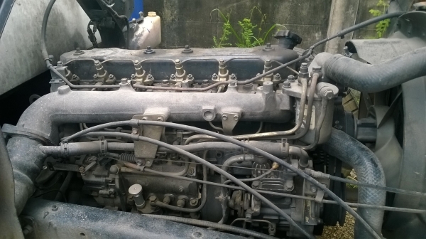 ขาย ISUZU FTR ขาย ISUZU FTR