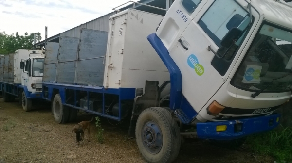 ขาย ISUZU FTR ขาย ISUZU FTR
